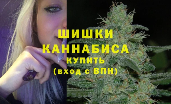 сатива Аркадак