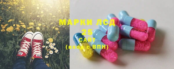 сатива Аркадак