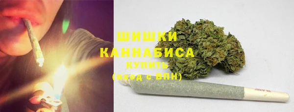 сатива Аркадак