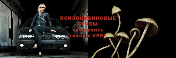 дживик Армянск