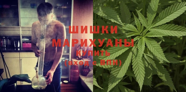 сатива Аркадак
