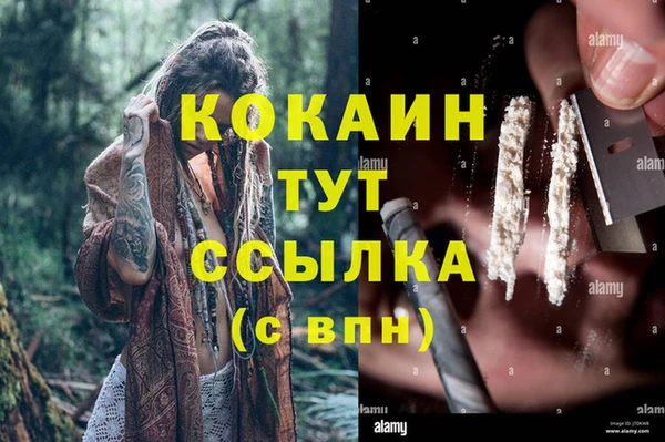 дживик Армянск