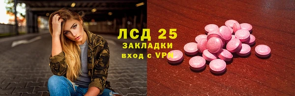 сатива Аркадак