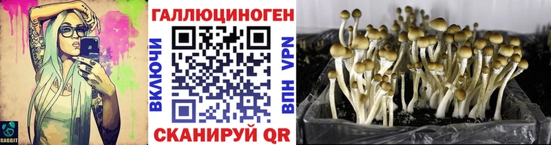 Псилоцибиновые грибы Cubensis Баксан