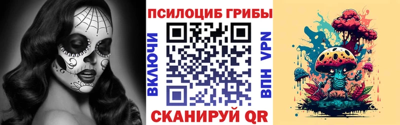 Псилоцибиновые грибы прущие грибы  хочу   Баксан 