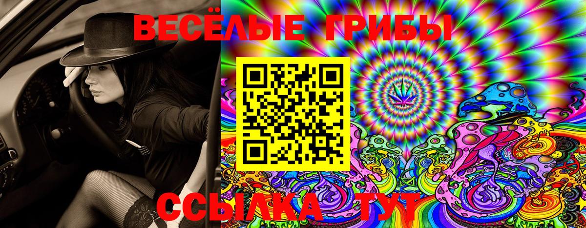 Баксан  Галлюциногенные грибы Cubensis  Вход с VPN  Галлюциногенные грибы ЛСД 